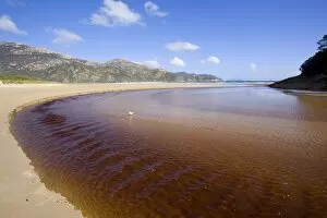 Tidal River - brown coloured water of Tidal River flows down into the ocean, at low tide. At high tide the river is underwater