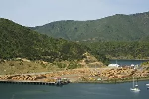 Timber trade - storage place for timber felled around the Marlborough Sounds at Picton Harbour