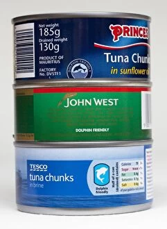 Three tins of dolphin friendly tuna steak chunks
