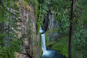 Falls Prints: Toketee Falls runs over basalt columns in the Umpqua National Forest
