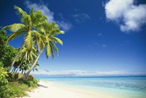 Seascape Collection: Tonga - Ovalau Island Vava u Group Kingdom of Tonga