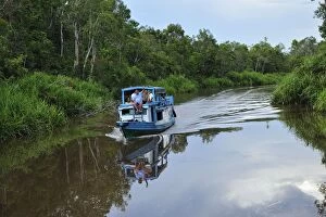 Images Dated 13th November 2008: tourist boat on Sekonyer river with forest - Tanjung