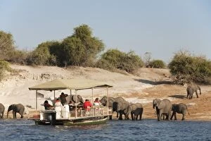 Images Dated 11th August 2010: Tourists on a boat cruise on the Chobe River observe