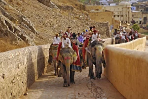 Images Dated 9th June 2010: Tourists riding elephants up to Amber Fort
