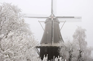 Images Dated 21st December 2007: Tower mill, flourmill De Vlijt - Scenery with fog and rime