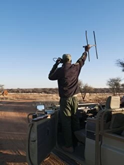 Images Dated 7th August 2010: Tracker - Radio tracking a Leopard at the Okonjima