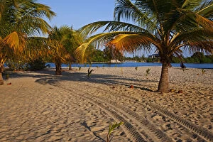 Tracks along the beach on Placenia in Belize