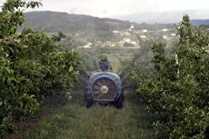 Tractor - spraying Orchard