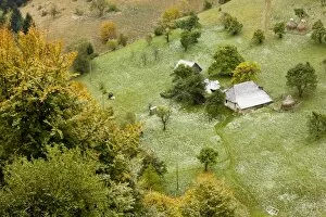 Traditional farming with old houses, barns, fruit trees and pasture in autumn