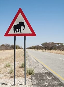 Traffic sign warning of crossing elephants at the