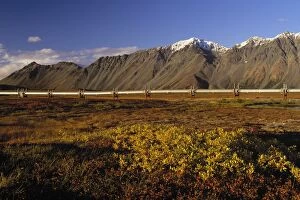The Trans-Alaskan Oil Pipeline passing through