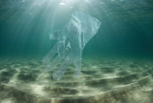 Transparent plastic glove drifting in the ocean