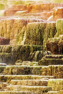 : Travertine terraces at Minerva Spring, Mammoth Hot Springs, Yellowstone National Park, Wyoming