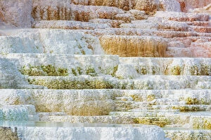 : Travertine terraces at Minerva Spring, Mammoth Hot Springs, Yellowstone National Park, Wyoming