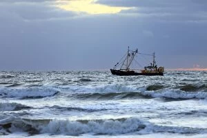 Trawler - fishing boat at sea