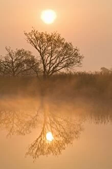 Images Dated 24th April 2011: Tree reflections at sunrise