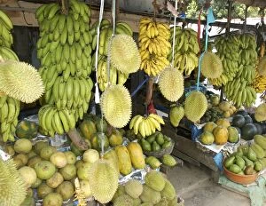 Images Dated 29th June 2007: Tropical Fruits: Papaya, Water Melon, Durian, Avocado