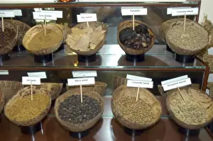 Pepper Prints: Tropical spices: selection displayed in coconut shells
