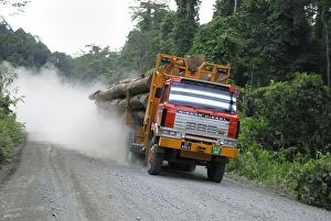 Truck with timber from a logging area near the Danum