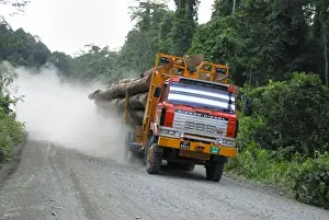 Trucks Prints: Truck with timber from a logging area near the Danum Valley Conservation Area - Sabah - Borneo - Malaysia