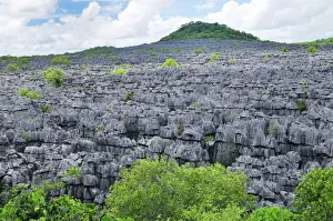 Tsingy - Limestone pinnacles - Ankarana National Park - Northern Madagascar