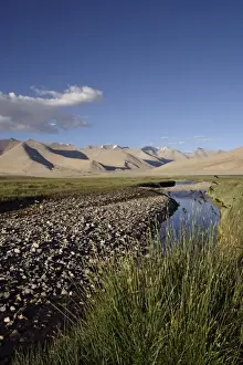 Ladakh Prints: Tso Kar - Basin view - fresh water stream feeding into Startsapuk Tso