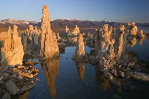 Images Dated 26th May 2009: Tufa Formation - Tufa Formations reflected in the alkaline waters of Mono Lake with