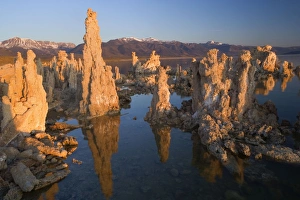 Images Dated 26th May 2009: Tufa Formation - Tufa Formations reflected in the alkaline waters of Mono Lake with