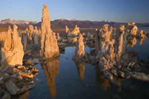 Tufa Formation - Tufa Formations reflected in the alkaline waters of Mono Lake with the snow-covered mountains of the Sierra Nevada in the background - early morning light - Mono Lake - California - USA
