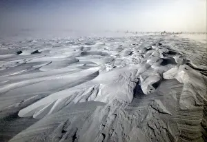 Tundra. Churchill. Manitoba. Canada