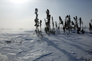 Images Dated 2003 March: 