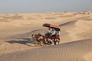 Dune Gallery: Tunisia, Sahara Desert, Douz, Great Dune