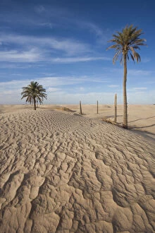 Danita delimont/tunisia sahara desert douz great dune