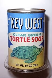 Images Dated 22nd April 2010: Can of Turtle Soup