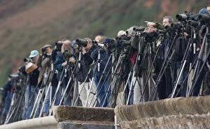 Twitchers / Birdwatchers - with telescopes and