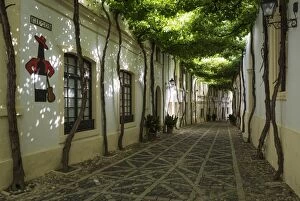 Bodega Gonzalez Byass Gallery: The typical Andalusian style Calle Ciegos with trained v