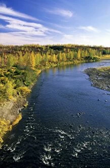 Images Dated 13th July 2009: A typical minor river in semi-tundra in autumn, near Dudinka. Siberia, Russia
