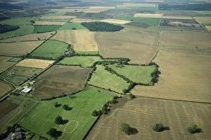 Aerials Collection: UK - aerial view Upwood Meadows National Nature Reserve, Cambridgeshire