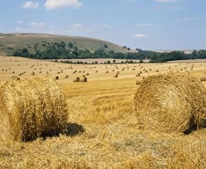 UK - Corn bales on South Downs