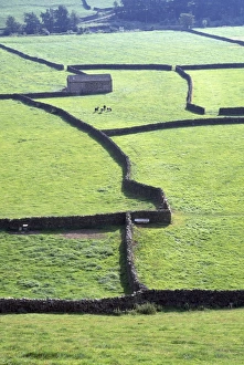 Images Dated 23rd March 2007: UK - dry stone walls typical of Yorkshire Dales. Gunnerside, Swaledale, Yorkshire, UK