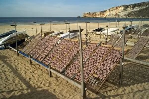 Unfamiliar sight of fish drying in the sun