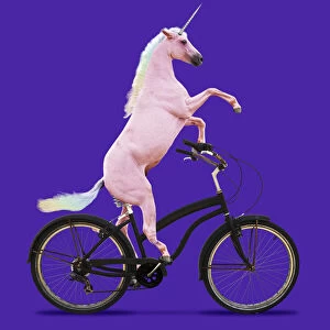 Unicorn, riding a bike