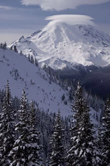 Images Dated 18th November 2010: United States, Washington, view of Mt. Rainier