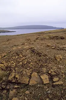 Unst Prints: Unst - Shetland Islands - Keen of Hammar National Nature Reserve