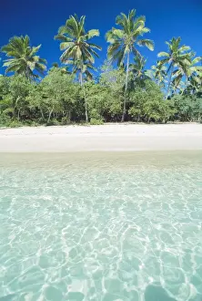 Uoleva Island tropical scene with palm trees, Ha'apai Group, Tonga JLR06064