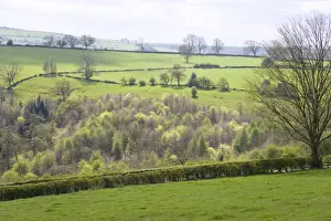 Upland Pasture and Woodland April 2007 Peak District Derbyshire UK