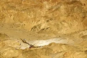 Commerical Prints: Uranium Prospecting taking place in the Moon Valley - The white patches are residue from the drilling process - Namib