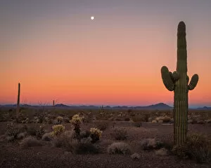 Images Dated 1st June 2021: USA, Arizona, Kofa National Wildlife Area. Mountain and desert landscape at sunset. Date: 01-02-2021