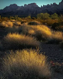 Images Dated 1st June 2021: USA, Arizona, Kofa National Wildlife Area. Mountain and desert landscape at sunrise