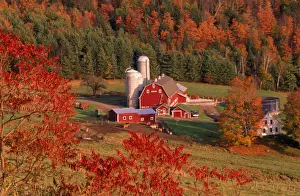 House Prints: USA - autumn farm scene Northern Vermont, USA